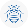 Bed Bug Extermination In Redhill