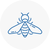 Bee Nest Removal Redhill
