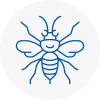 Redhill Hornet Nest Removals