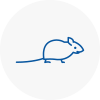 Mice Exterminators In Redhill