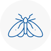 Moth Control Specialists In Redhill