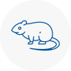 Rat Control Redhill