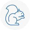 Redhill Rodent Removals