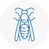 Redhill Wasp Nest Removal